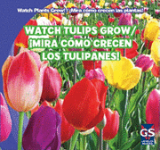 Kristen Rajczak Nelson - Watch Tulips Grow / ¡Mira Cómo Crecen Los Tulipanes!, Inbunden