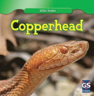 Victoria Braidich - Copperhead, Inbunden
