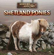 bokomslag Shetland Ponies