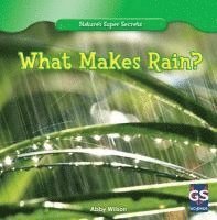 What Makes Rain? 1