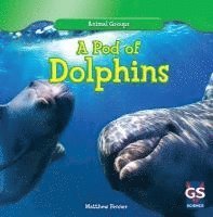 Matthew Fenner - A Pod of Dolphins, Inbunden