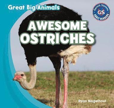 Ryan Nagelhout - Awesome Ostriches, Inbunden