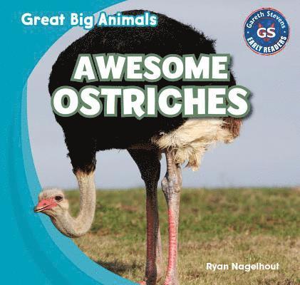 Ryan Nagelhout - Awesome Ostriches, Inbunden