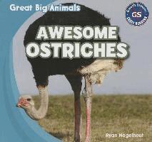 Ryan Nagelhout - Awesome Ostriches, Häftad