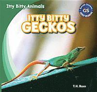 T. H. Baer - Itty Bitty Geckos, Inbunden