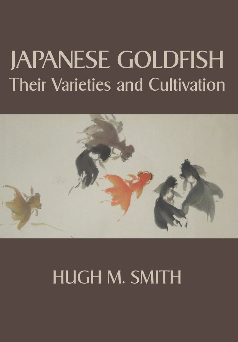 Japanese Goldfish 1