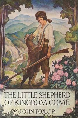 bokomslag The Little Shepherd of Kingdom Come