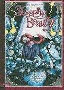Graphic Spin Sleeping Beauty the Graphic Novel