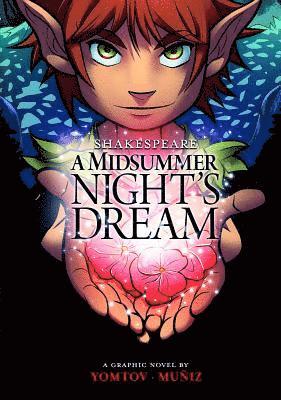 bokomslag Midsummer Night's Dream