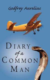 bokomslag Diary of a Common Man