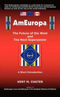 bokomslag AmEuropa
