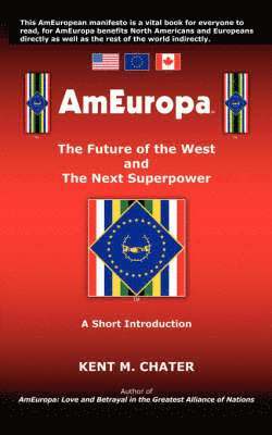 bokomslag AmEuropa