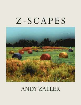 Z-Scapes 1