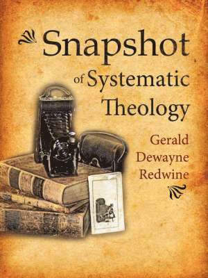 Snapshot of Systematic Theology 1