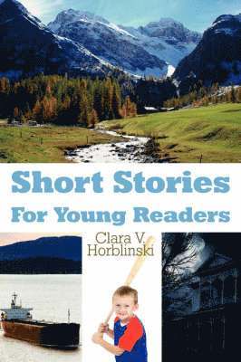 bokomslag Short Stories for Young Readers