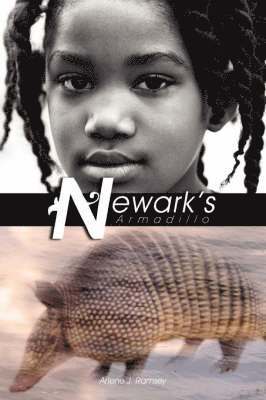 Newark's Armadillo 1