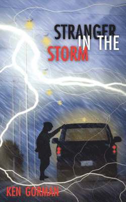 Stranger in the Storm 1