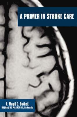 bokomslag Primer in Stroke Care