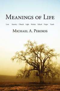 bokomslag Meanings of Life