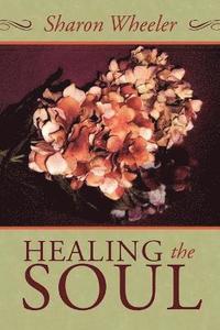 bokomslag Healing the Soul