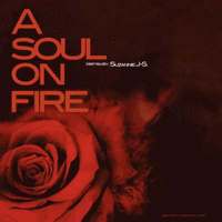bokomslag A Soul on Fire