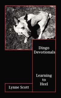 bokomslag Dingo Devotionals