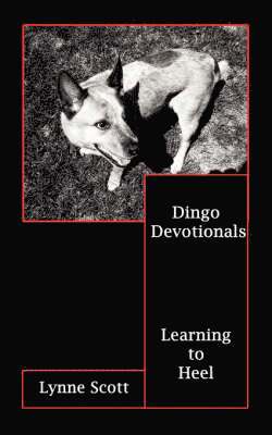 Dingo Devotionals 1