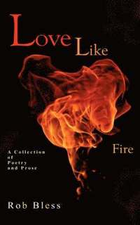 bokomslag Love Like Fire