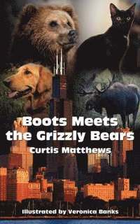 bokomslag Boots Meets the Grizzly Bears