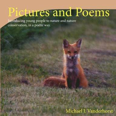 bokomslag Pictures and Poems Book 2