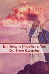 bokomslag Birthing the Prophet In You