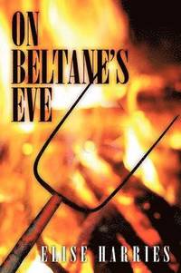 bokomslag On Beltane's Eve