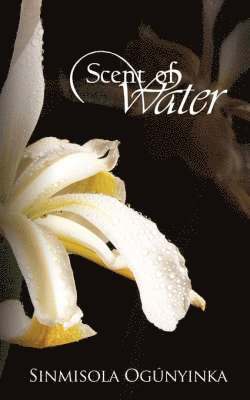 Scent of Water 1