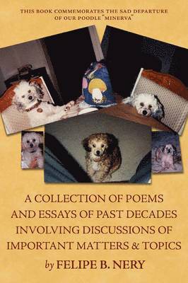 Felipe B Nery, Felipe B. Nery - collection of poems and essays of past decades involving discussions of important matters and topics, Häftad