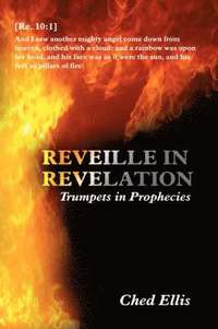 bokomslag Reveille in Revelation