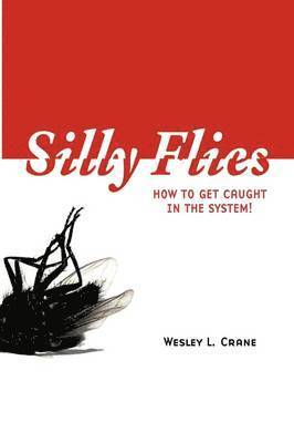 Silly Flies 1
