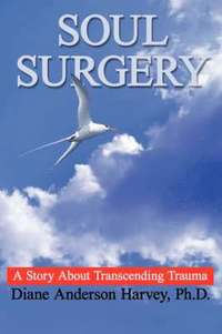 bokomslag Soul Surgery