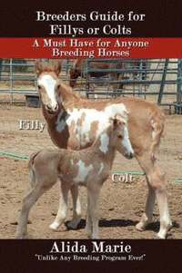 bokomslag Breeders Guide for Fillys or Colts: A Must Have for Anyone Breeding Horses