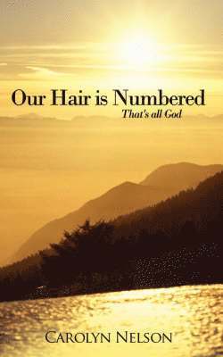 Our Hair is Numbered 1