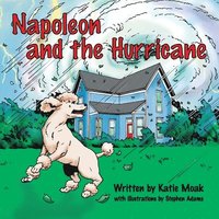 bokomslag Napoleon and the Hurricane