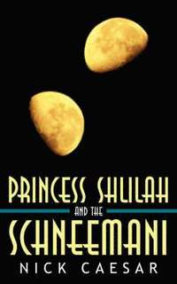 bokomslag Princess Shlilah and the Schneemani