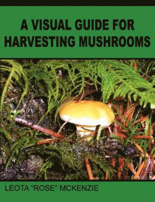 A Visual Guide for Harvesting Mushrooms 1