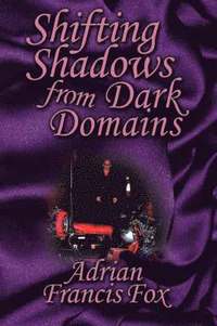 bokomslag Shifting Shadows From Dark Domains