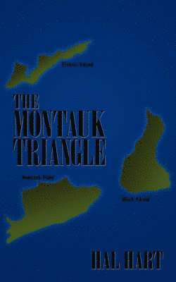bokomslag Montauk Triangle