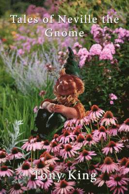 Tony King - Tales of Neville the Gnome, Häftad