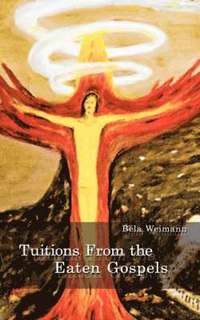 bokomslag Tuitions from the Eaten Gospels