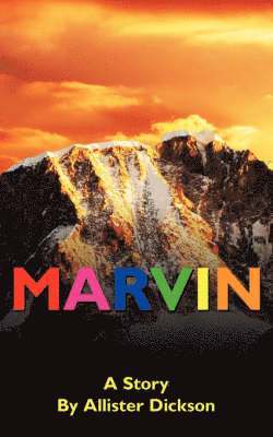 bokomslag Marvin