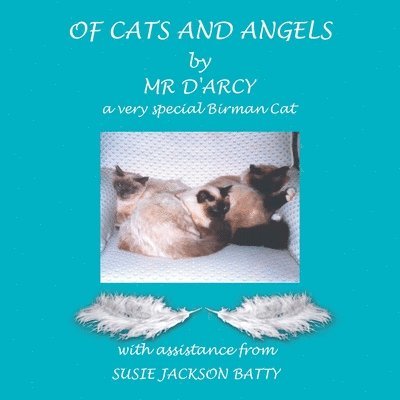 Of Cats and Angels 1