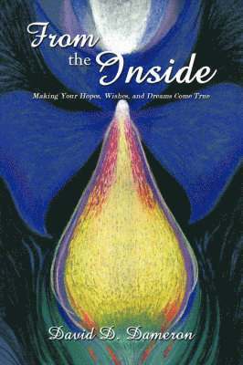 David D Dameron, David D. Dameron - From the Inside, Häftad
