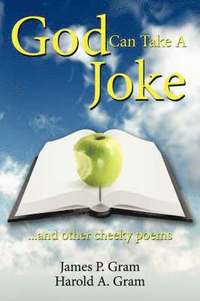 bokomslag God Can Take A Joke